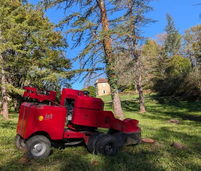 Intervention de déssouchage avec une rogneuse rouge sur un terrain arboré, visant à retirer une souche tout en préservant le sol et l’environnement