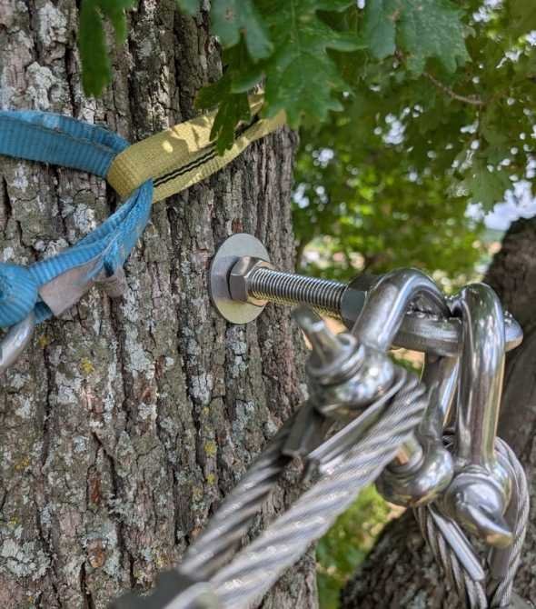 Système de haubanage fixé par perçage maîtrisé dans le tronc, non agressif pour l’arbre et conçu pour renforcer sa stabilité sans nuire à sa santé.