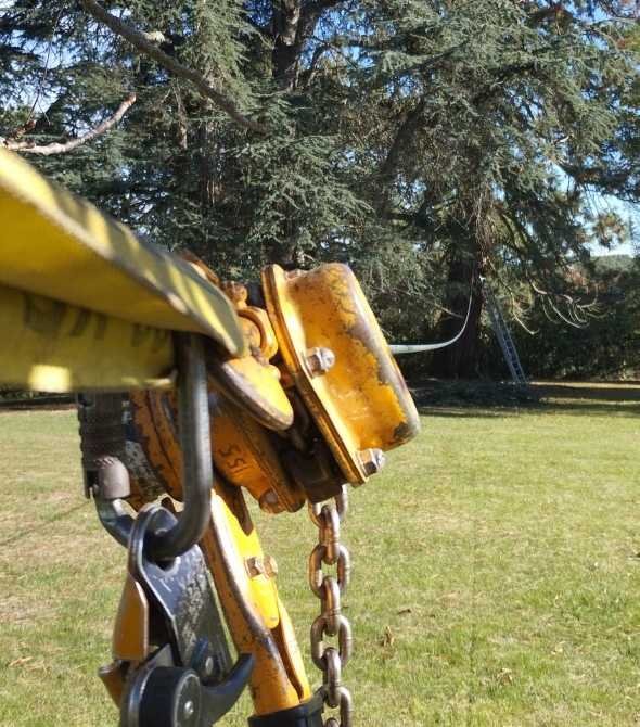 Installation d’une tyrolienne arboricole de loisir, fixée entre deux arbres