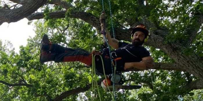 Geoffrey Lintz, propriétaire d'Arboréal Sud Ouest Élagage, en train de descendre d'un élagage